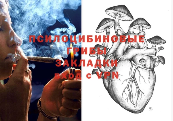 PSILOCYBIN Алексеевка