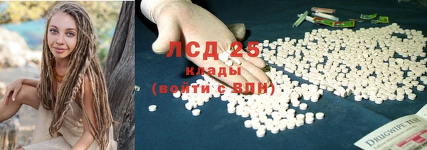 PSILOCYBIN Алексеевка