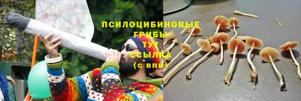 мяу мяу мука Алексин