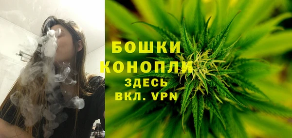 PSILOCYBIN Алексеевка