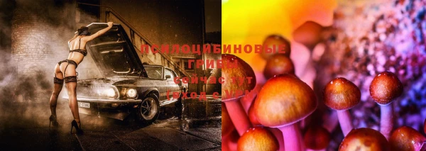 СК Алзамай