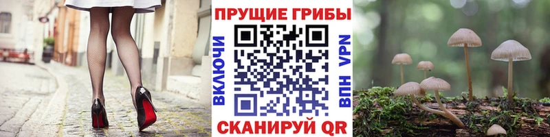 Псилоцибиновые грибы Magic Shrooms  Поронайск 
